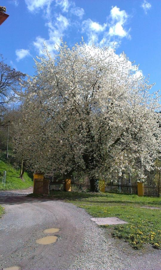 Ferienwohnung Ottmanach Josefhof Pischeldorf Buitenkant foto