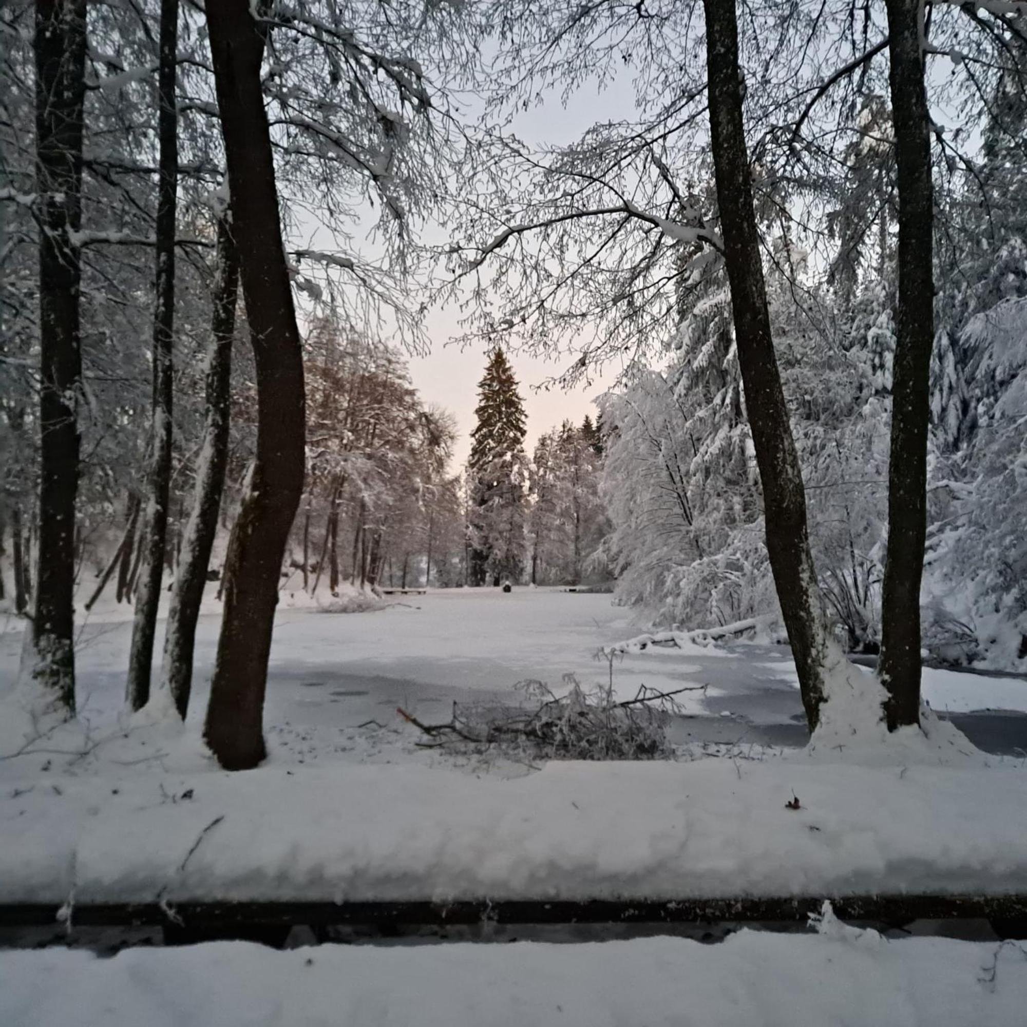 Ferienwohnung Ottmanach Josefhof Pischeldorf Buitenkant foto