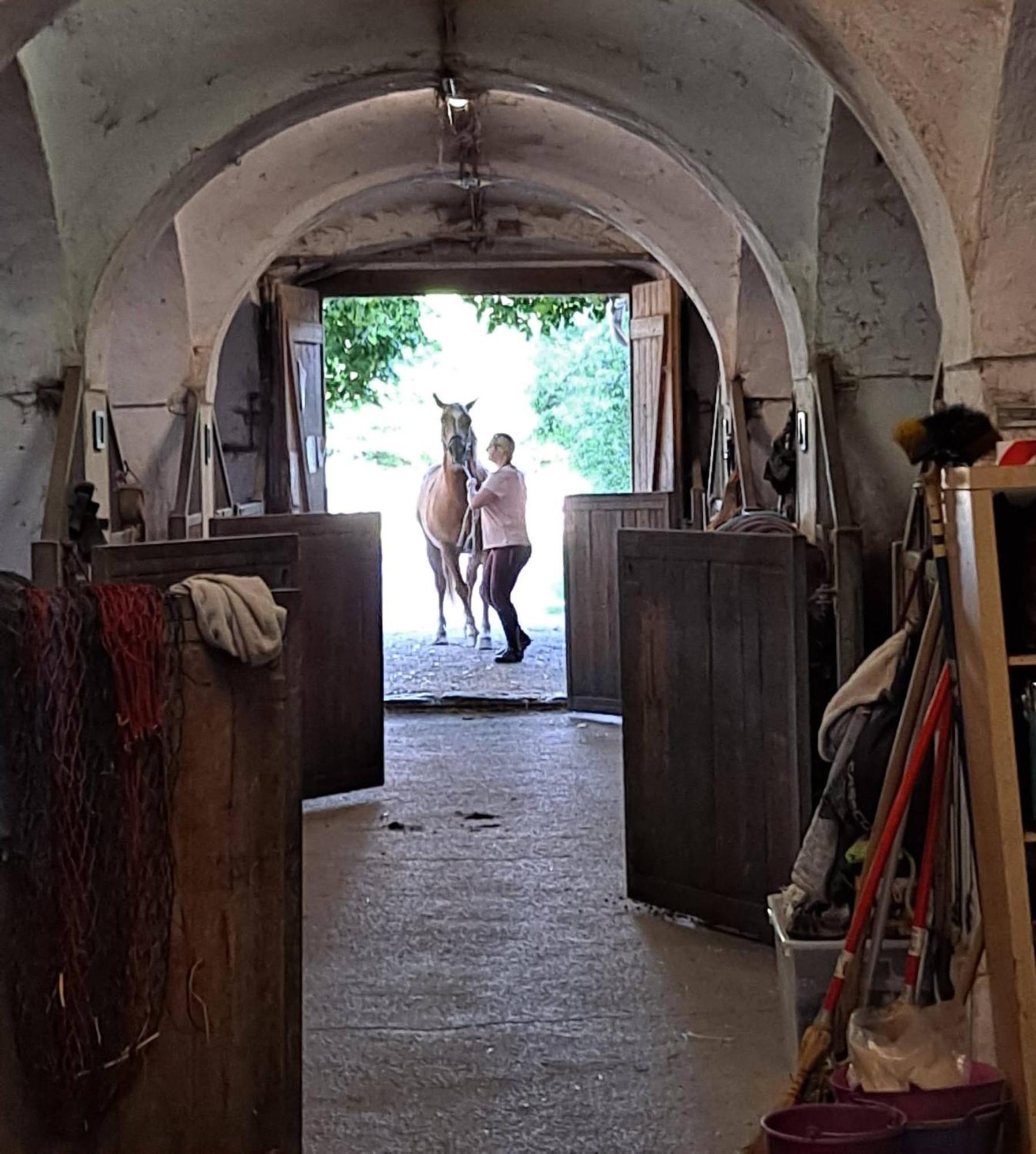 Ferienwohnung Ottmanach Josefhof Pischeldorf Buitenkant foto
