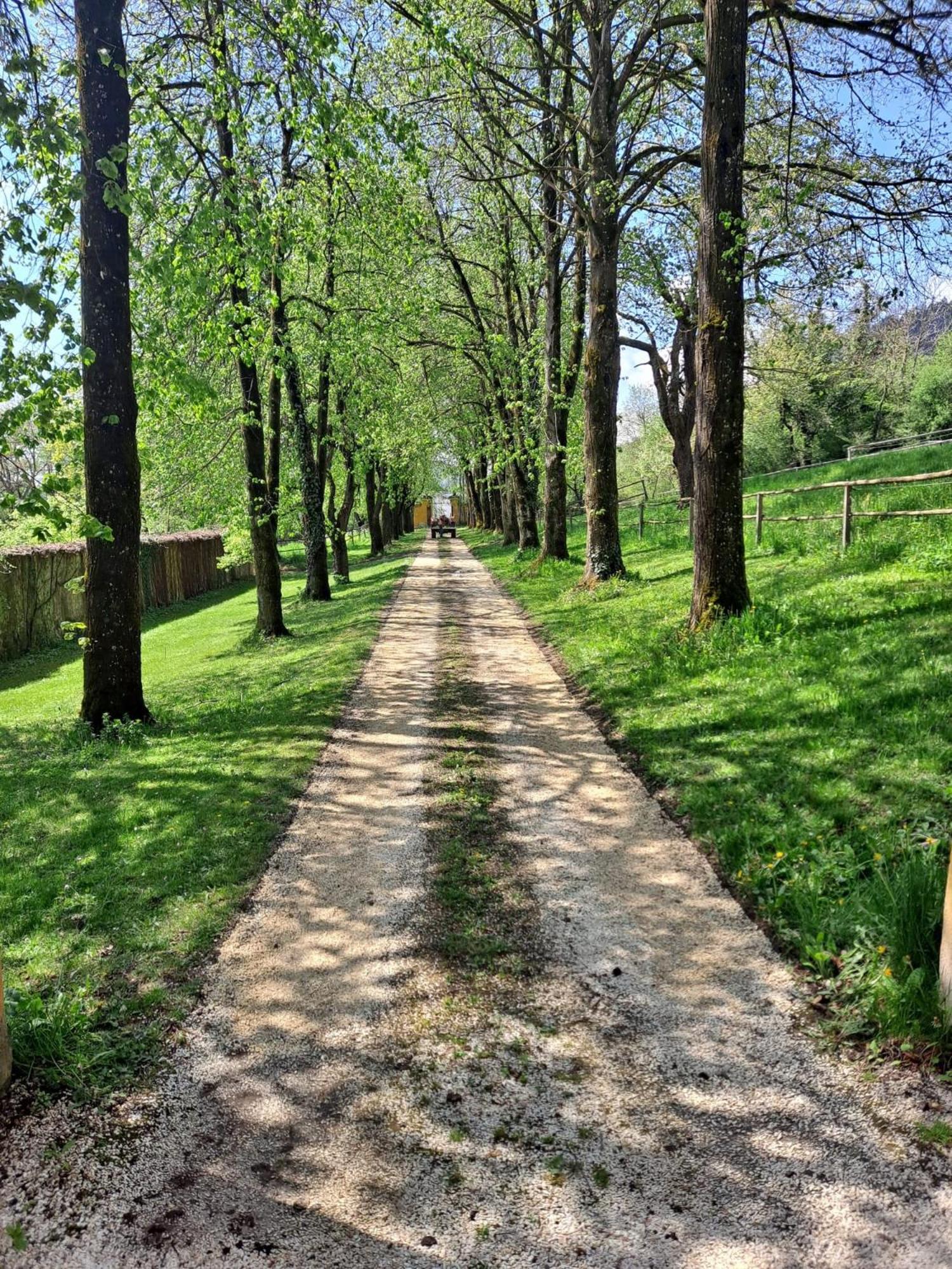 Ferienwohnung Ottmanach Josefhof Pischeldorf Buitenkant foto